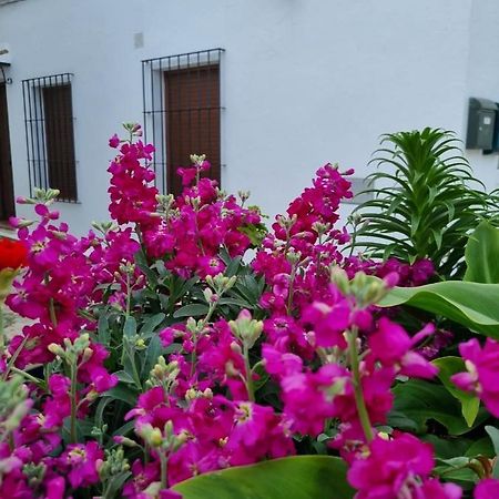 Casa Francisca En El Casco Antiguo Villa เวเฮร์ เด ลา ฟรอนเตรา ภายนอก รูปภาพ